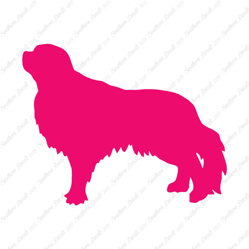 English Toy Spaniel Dog Breed