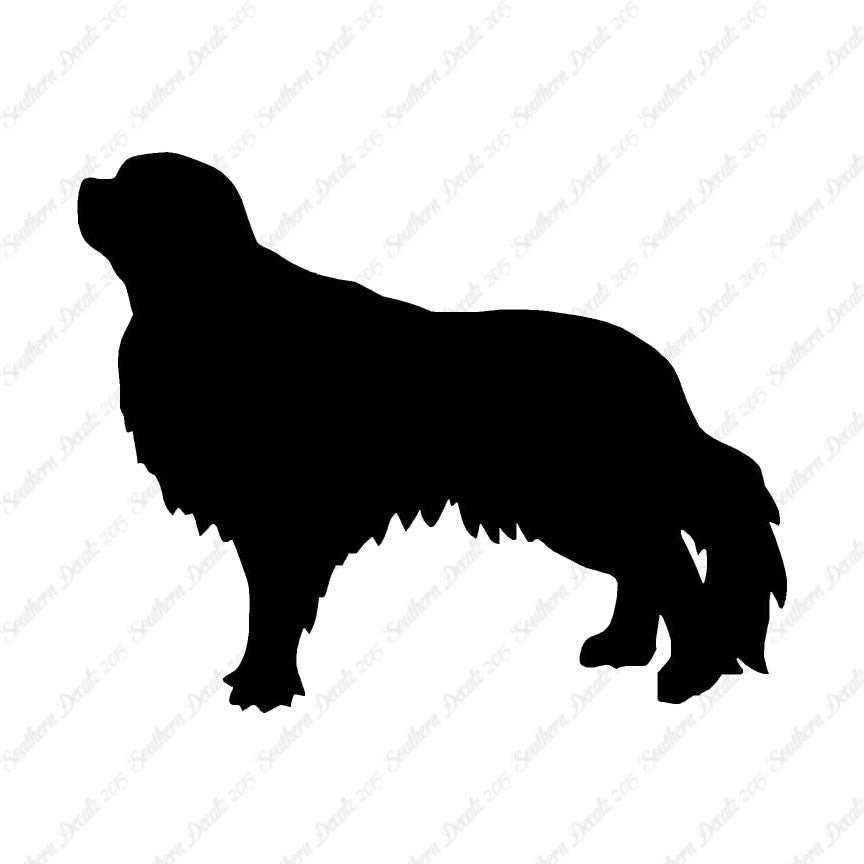 English Toy Spaniel Dog Breed