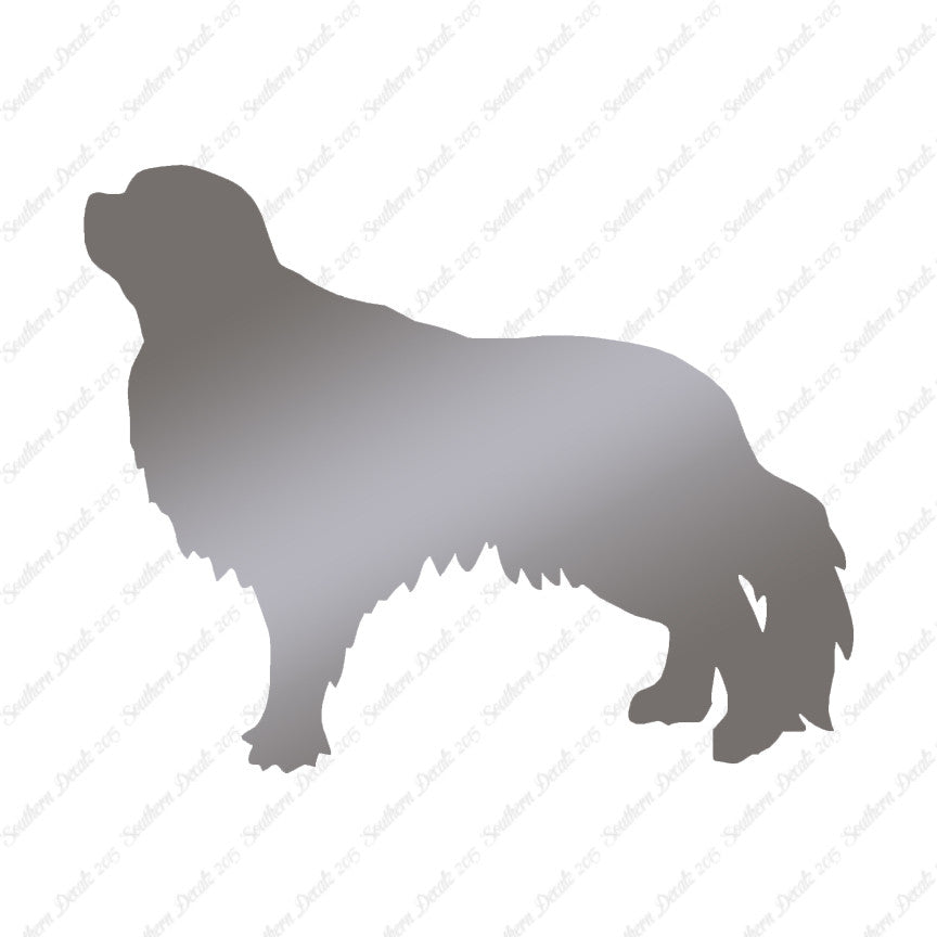 English Toy Spaniel Dog Breed