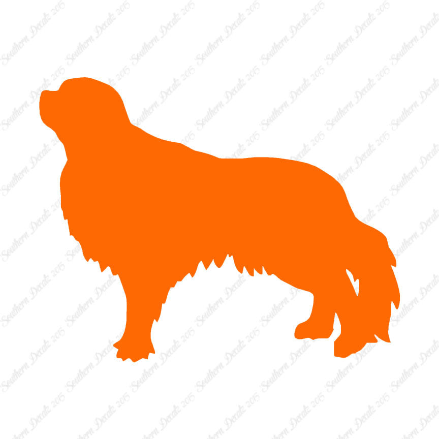 English Toy Spaniel Dog Breed
