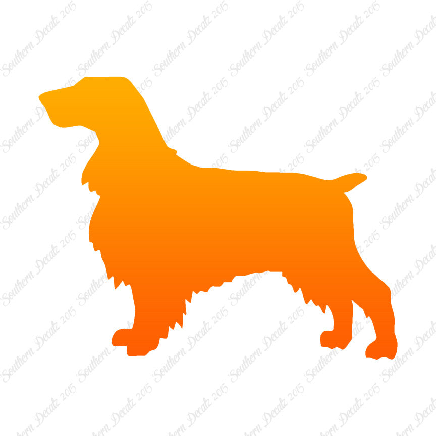 Field Spaniel Dog Breed