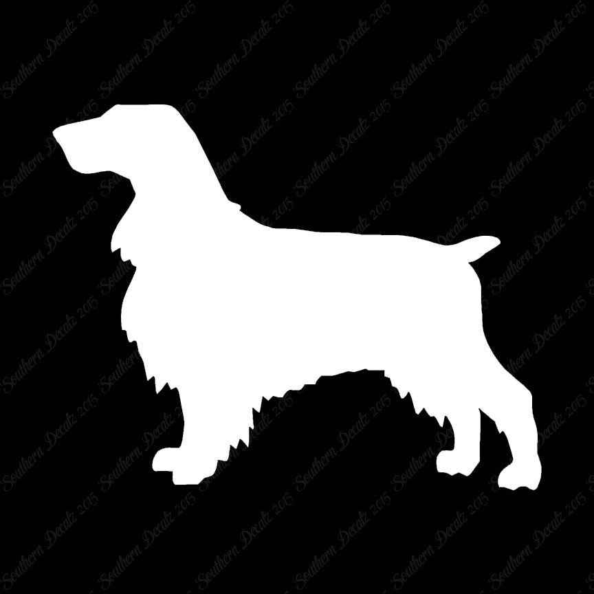 Field Spaniel Dog Breed