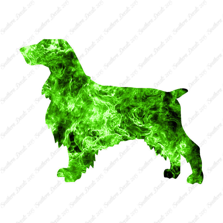 Field Spaniel Dog Breed