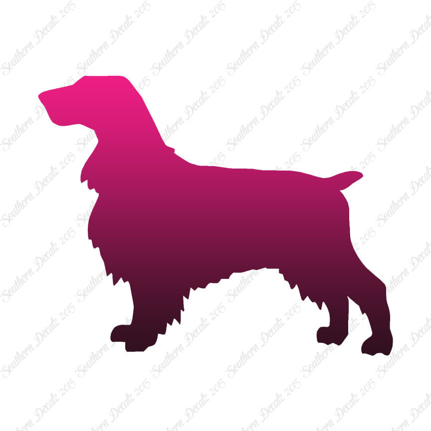 Field Spaniel Dog Breed