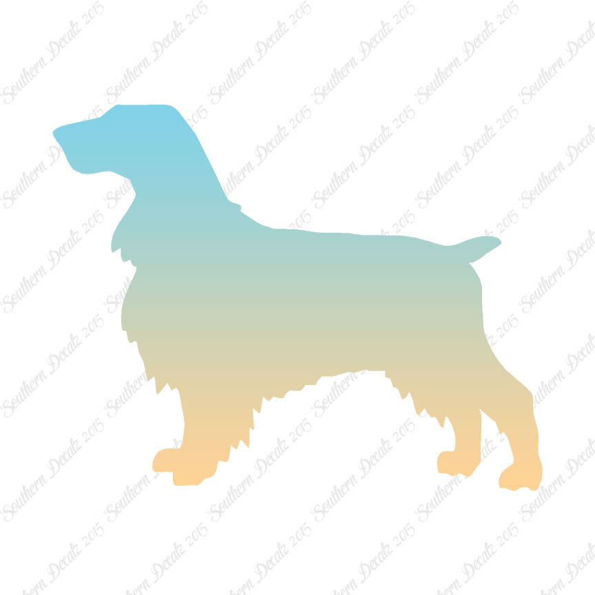 Field Spaniel Dog Breed