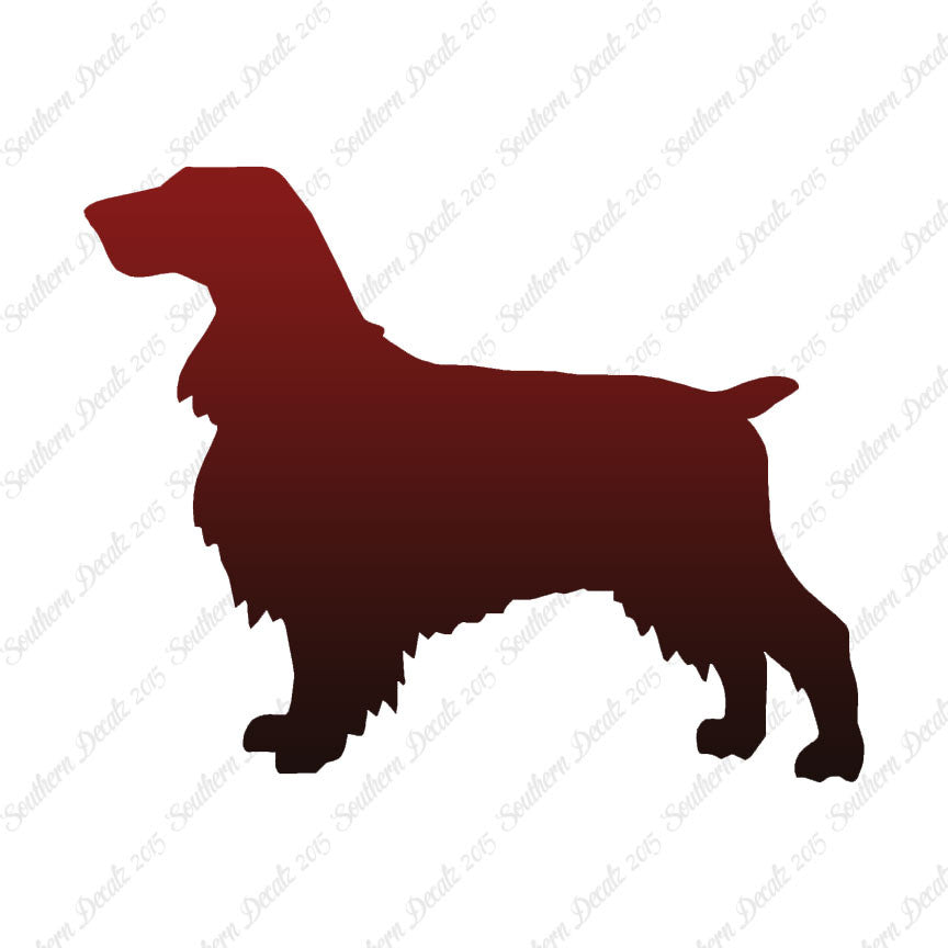 Field Spaniel Dog Breed