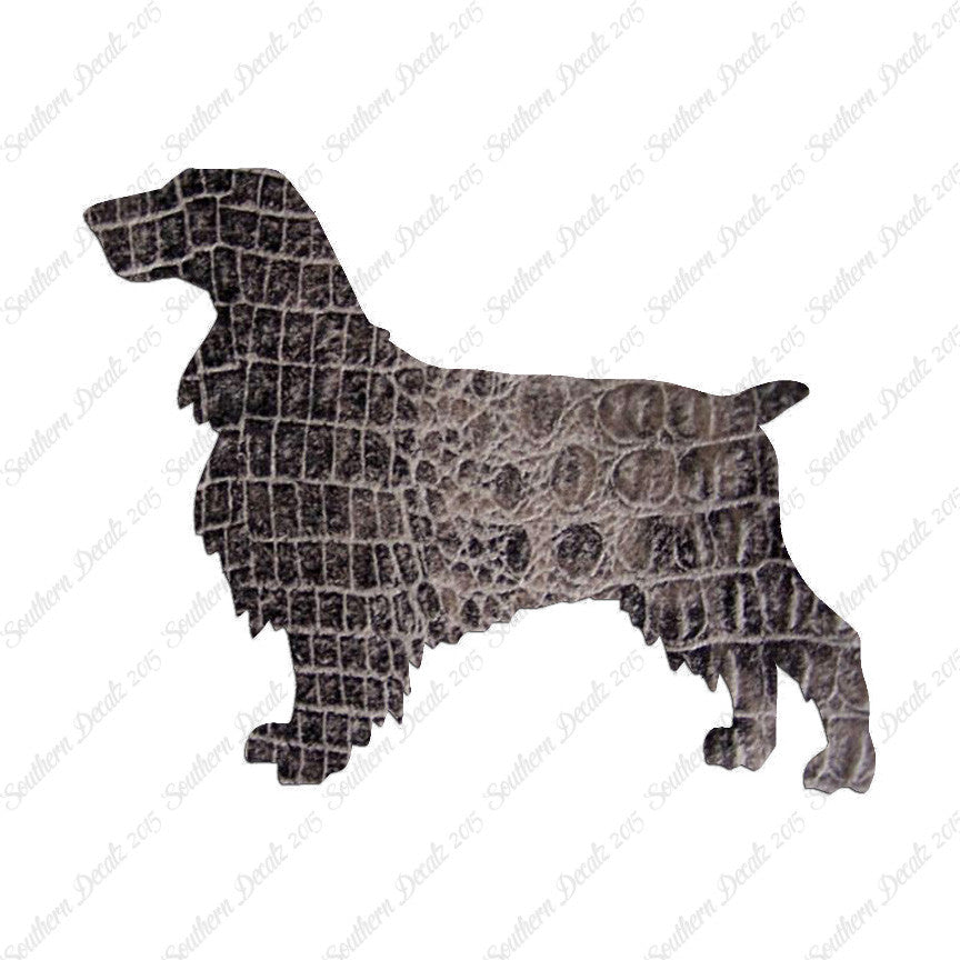 Field Spaniel Dog Breed