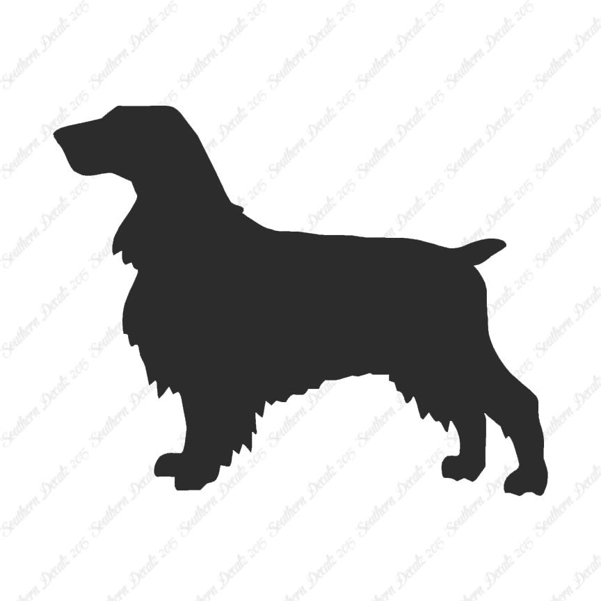 Field Spaniel Dog Breed