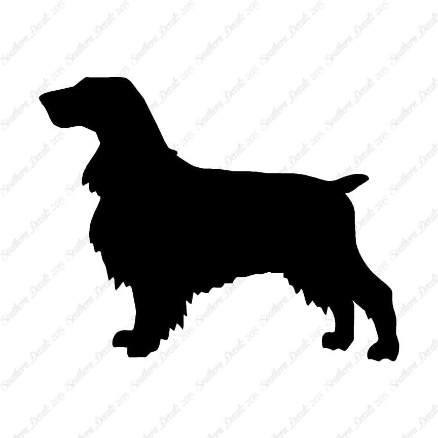 Field Spaniel Dog Breed