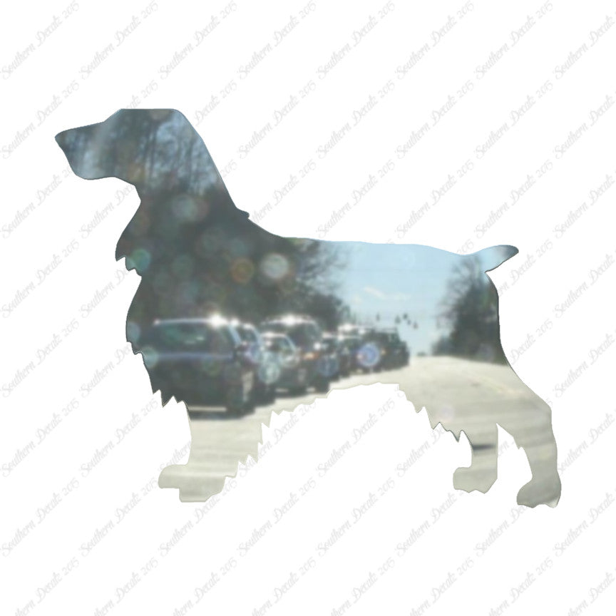 Field Spaniel Dog Breed