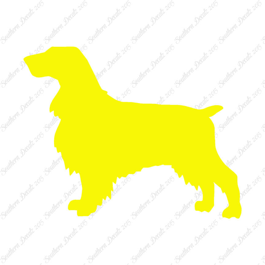 Field Spaniel Dog Breed