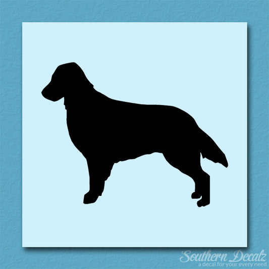 Flat Coated Retriever Dog Breed