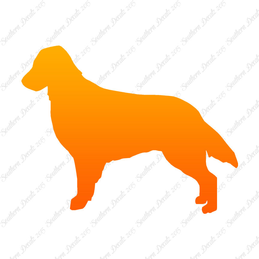 Flat Coated Retriever Dog Breed