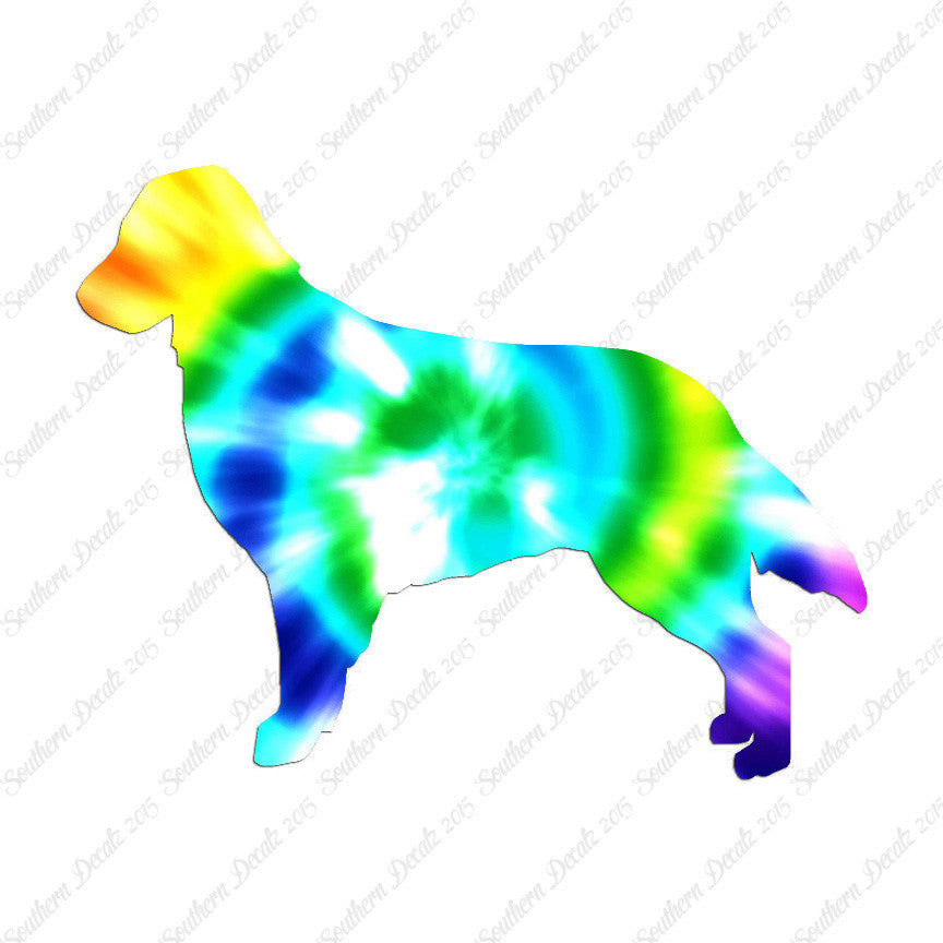 Flat Coated Retriever Dog Breed