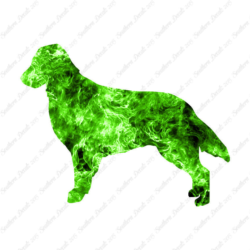Flat Coated Retriever Dog Breed