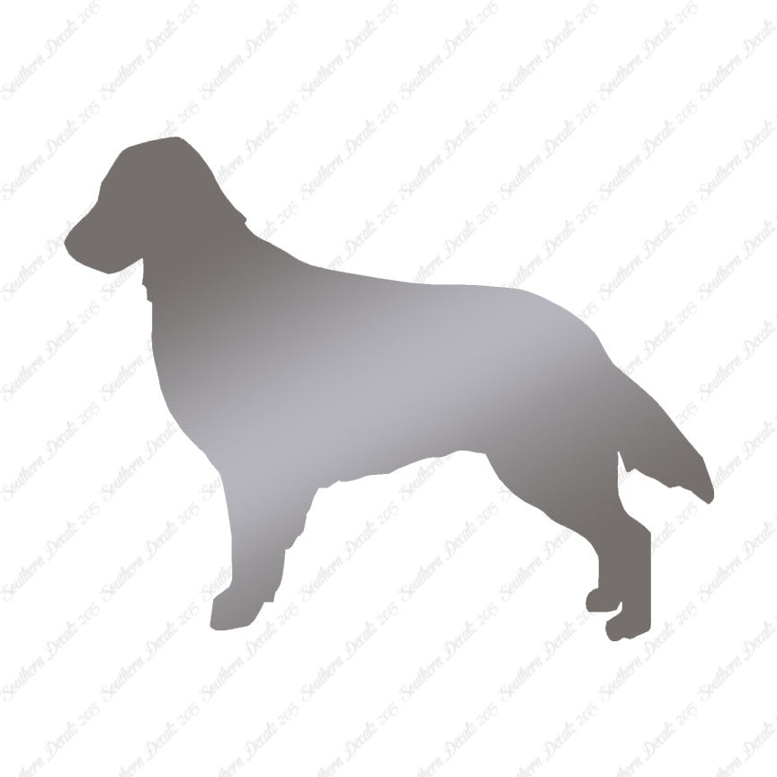 Flat Coated Retriever Dog Breed