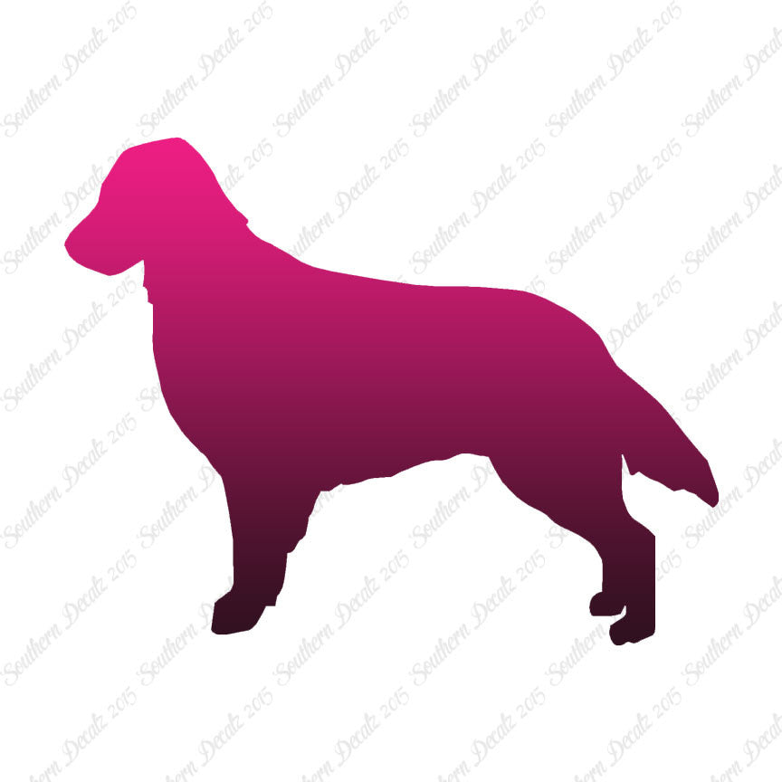 Flat Coated Retriever Dog Breed