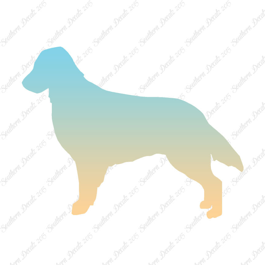 Flat Coated Retriever Dog Breed