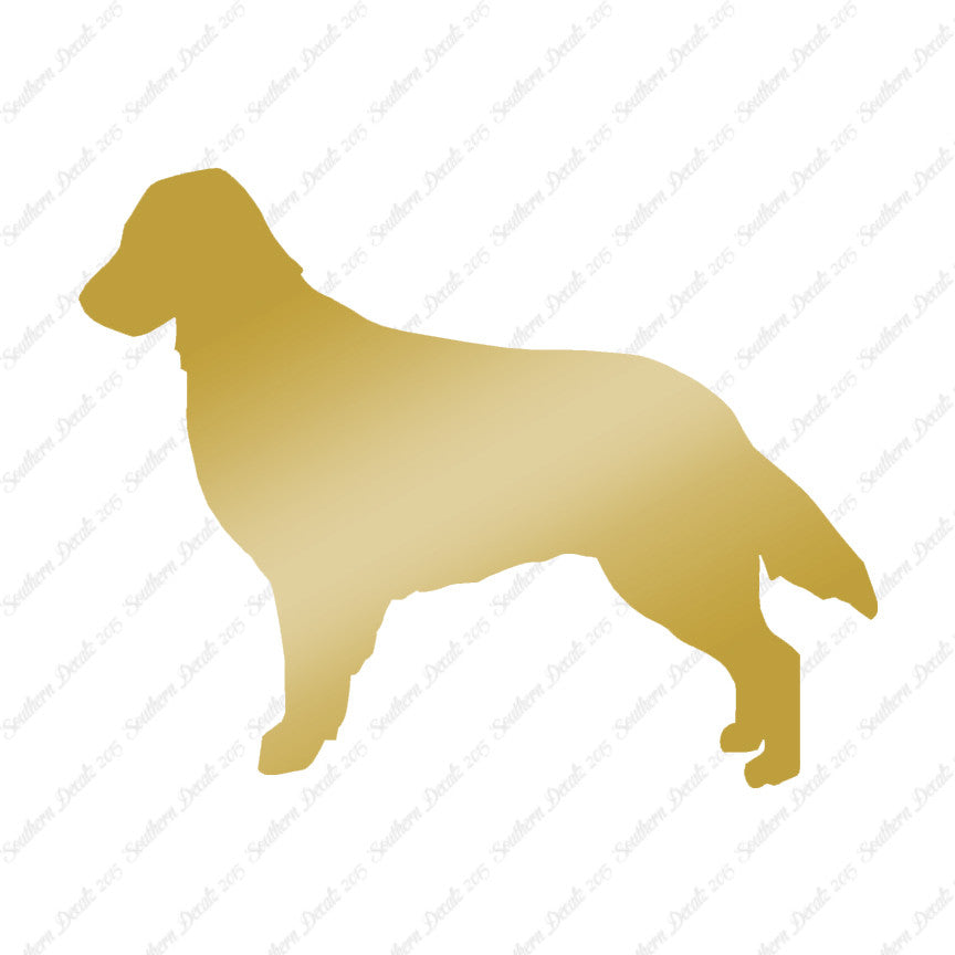Flat Coated Retriever Dog Breed