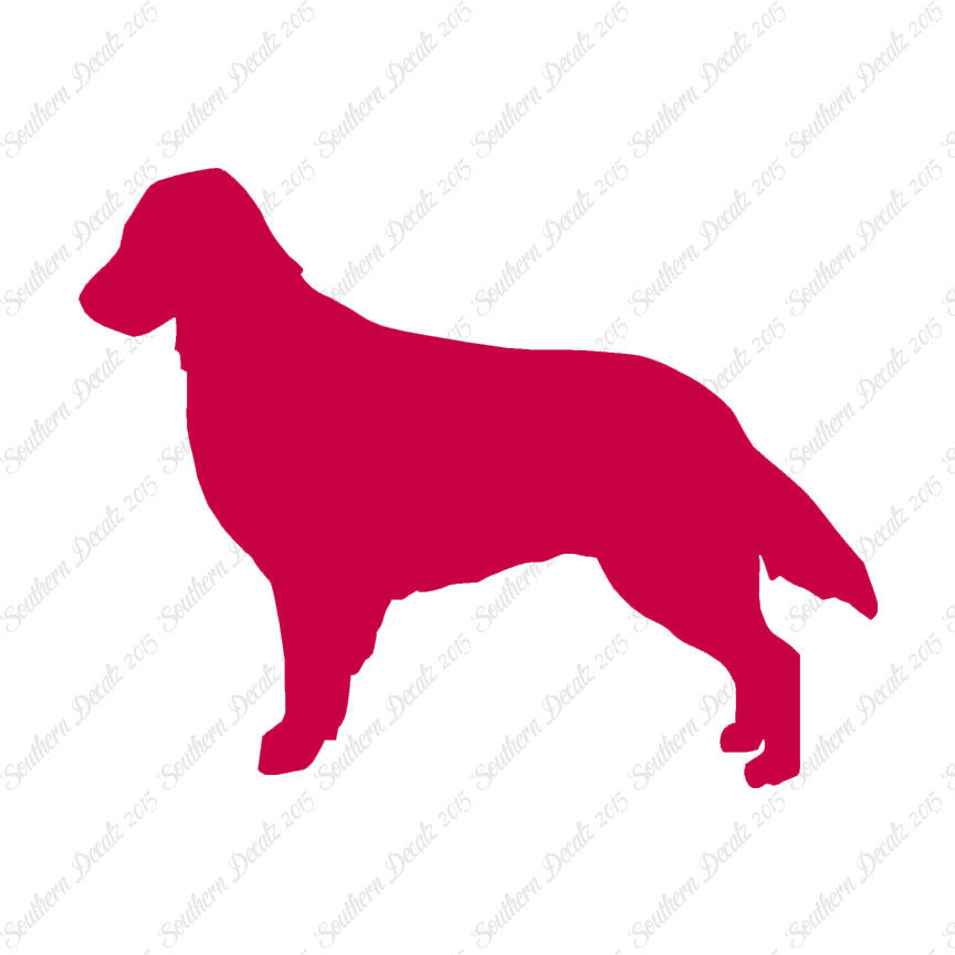 Flat Coated Retriever Dog Breed
