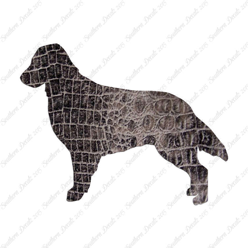 Flat Coated Retriever Dog Breed