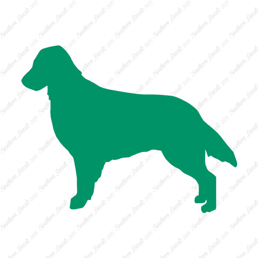 Flat Coated Retriever Dog Breed