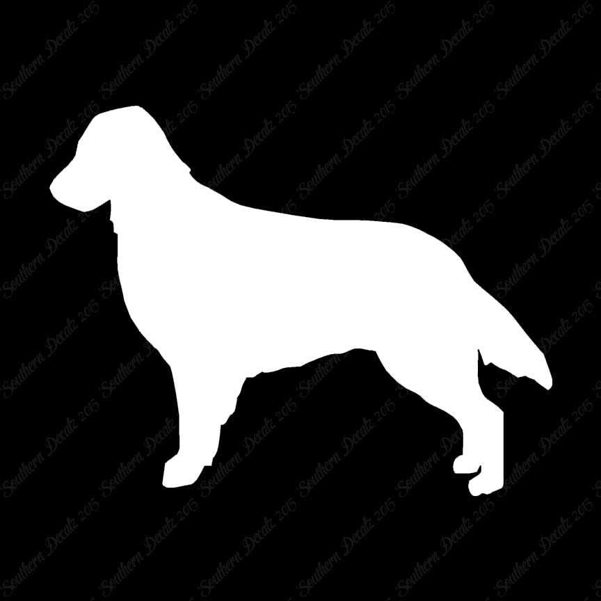 Flat Coated Retriever Dog Breed