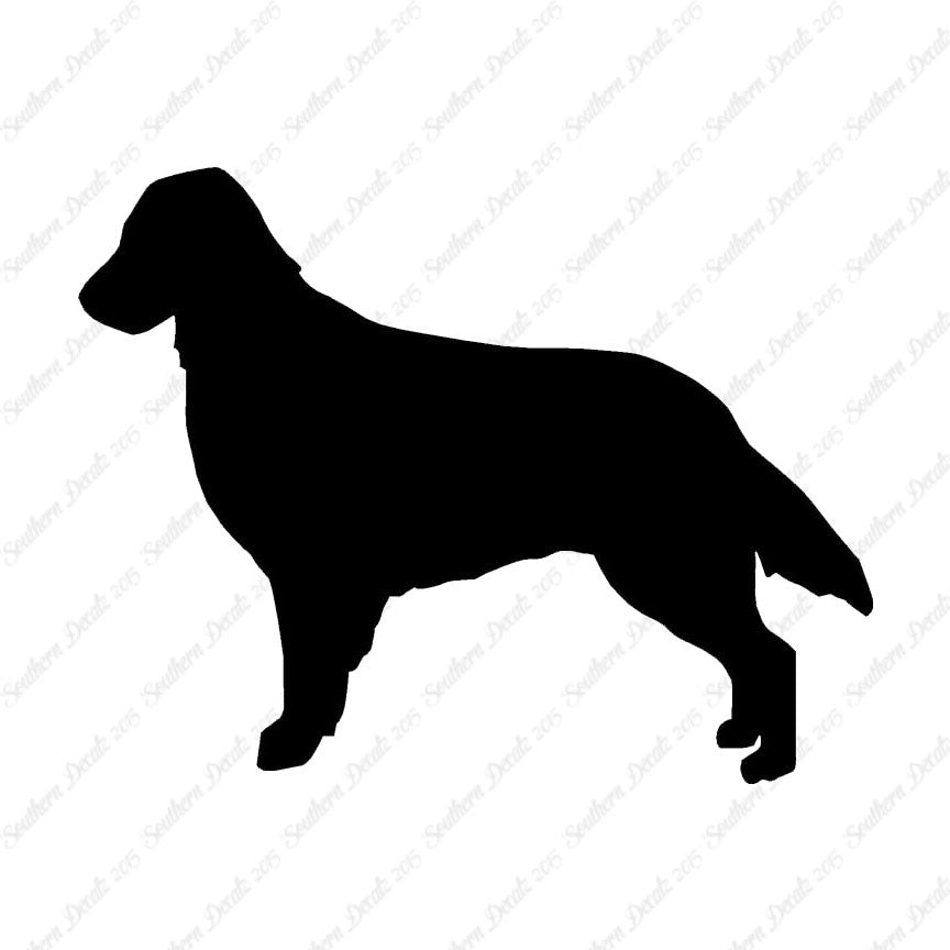 Flat Coated Retriever Dog Breed