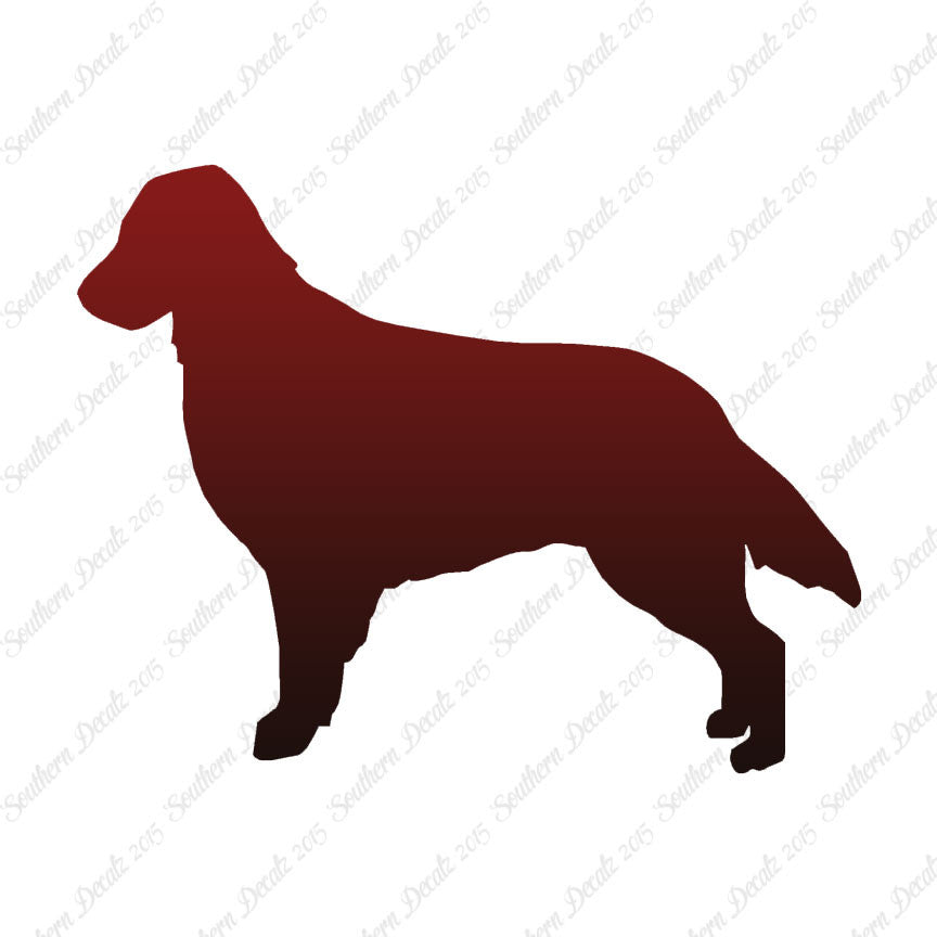Flat Coated Retriever Dog Breed