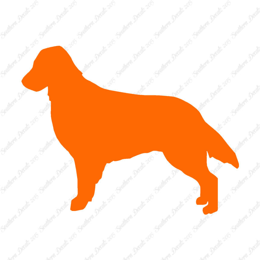 Flat Coated Retriever Dog Breed