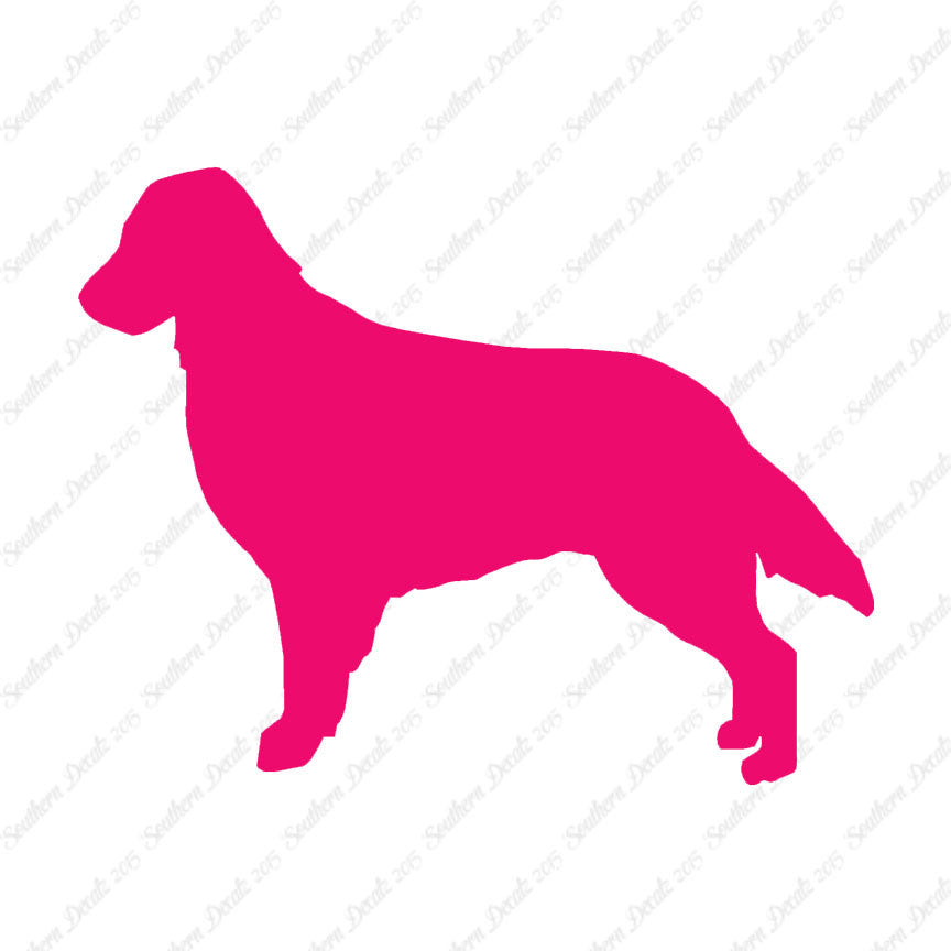 Flat Coated Retriever Dog Breed