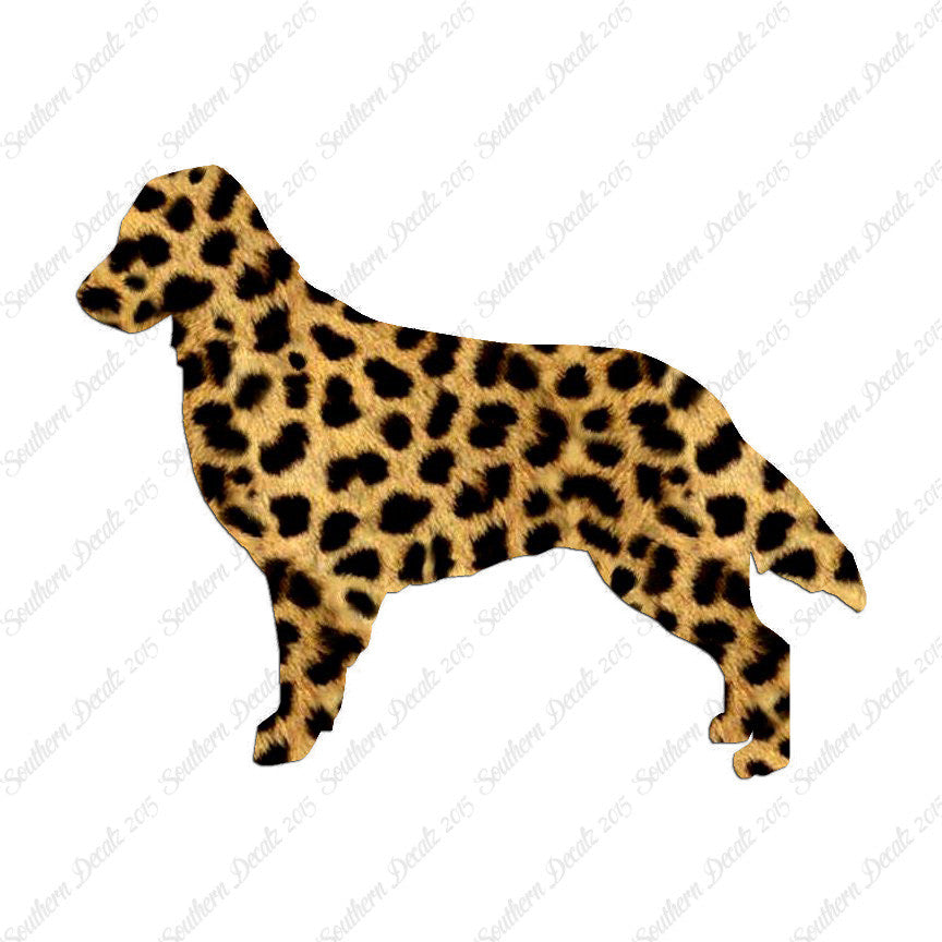 Flat Coated Retriever Dog Breed