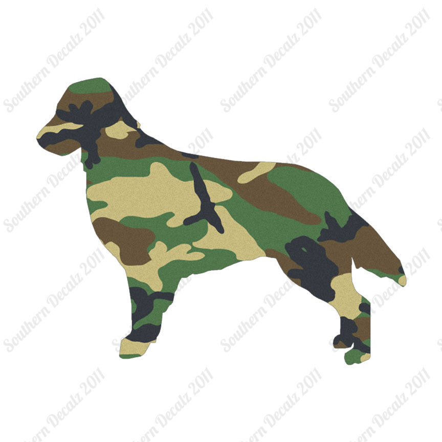 Flat Coated Retriever Dog Breed