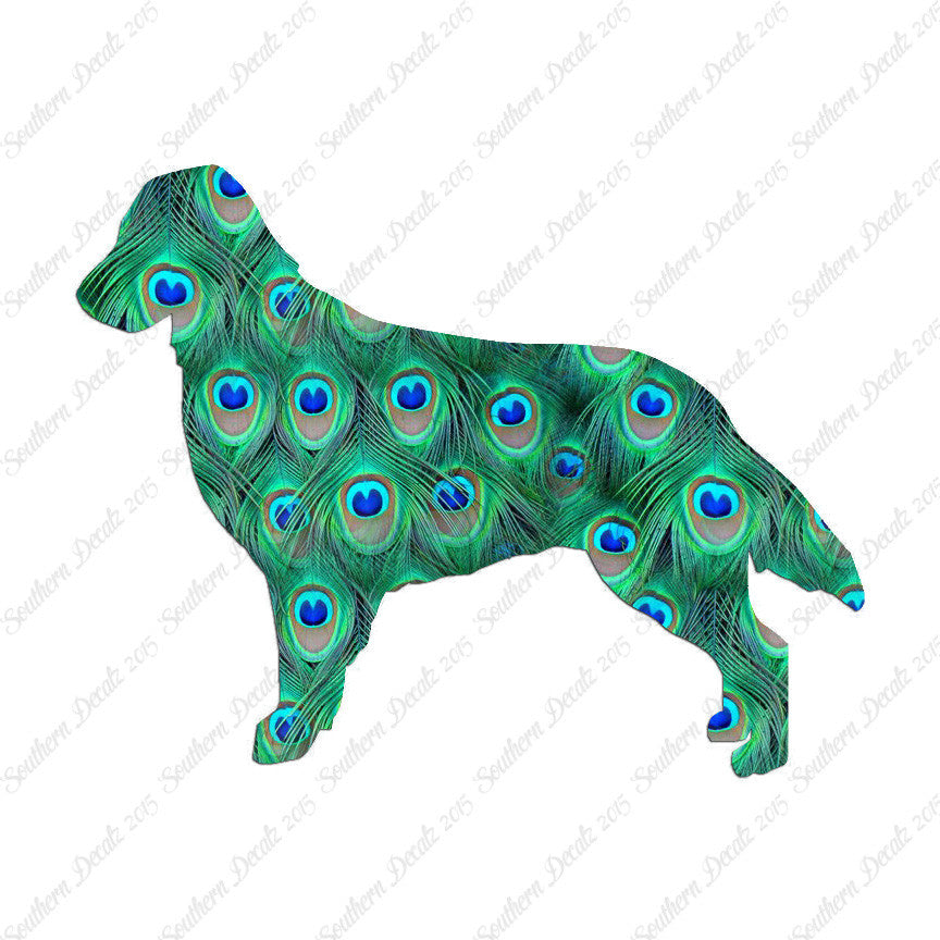 Flat Coated Retriever Dog Breed
