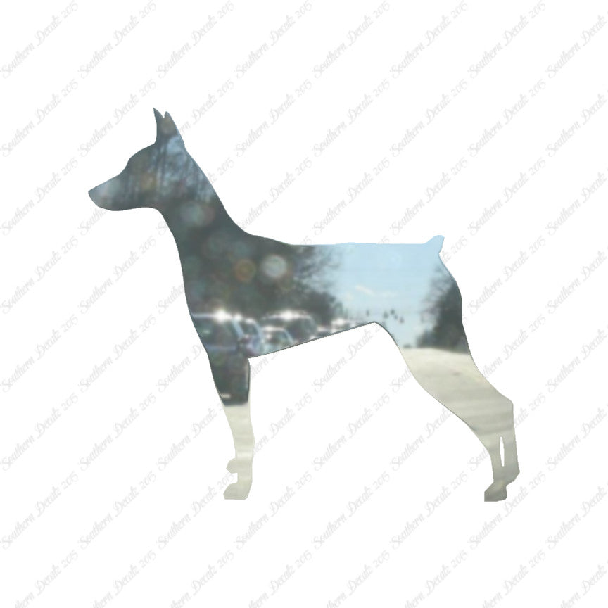 German Pinscher Dog Breed