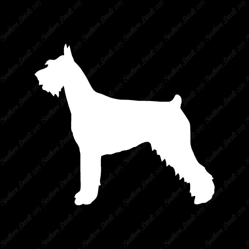 German Schnauzer Dog Breed