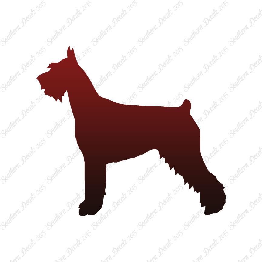 German Schnauzer Dog Breed