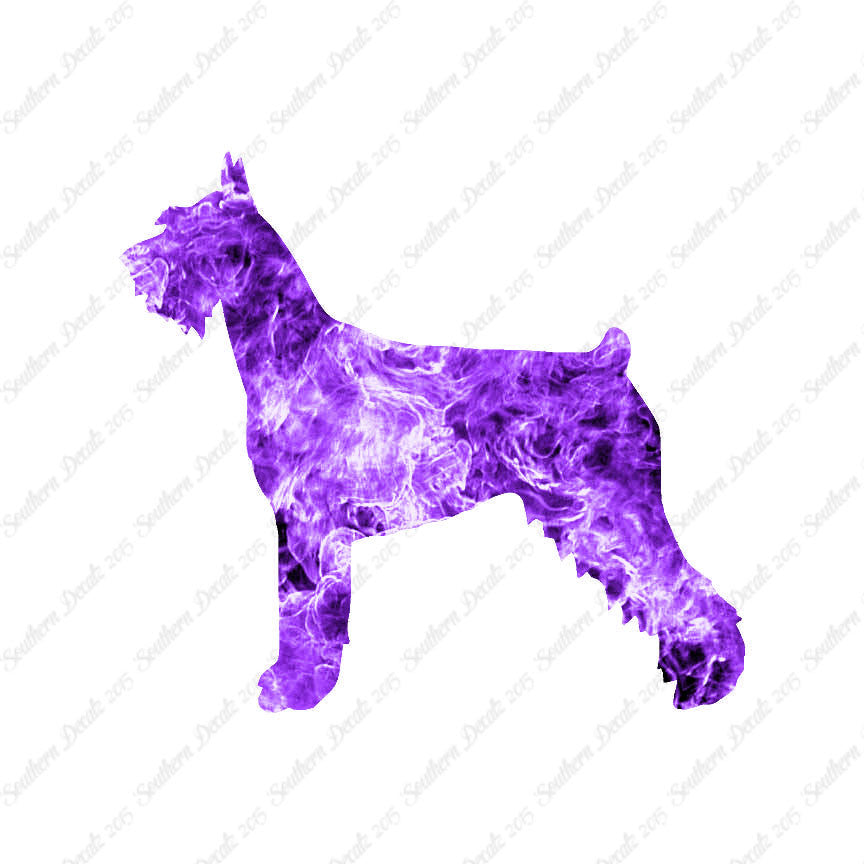 German Schnauzer Dog Breed