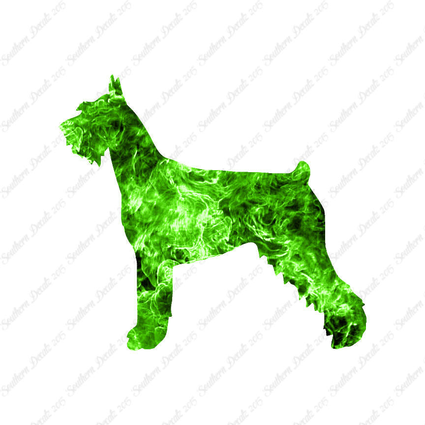 German Schnauzer Dog Breed