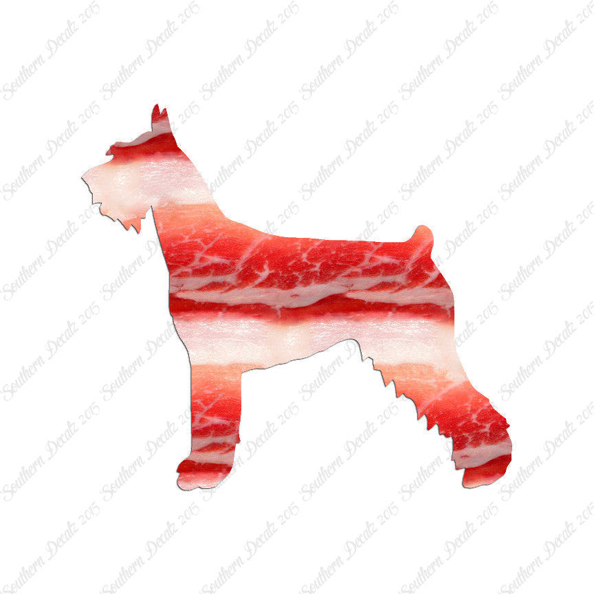 German Schnauzer Dog Breed
