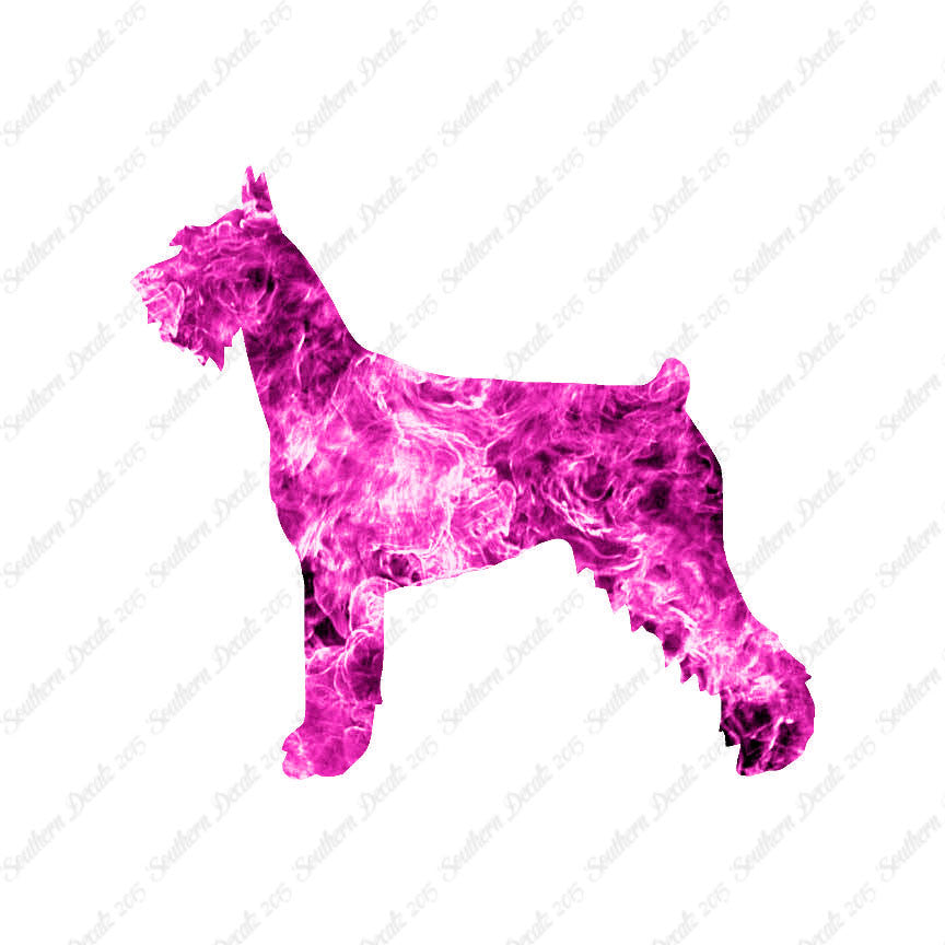 German Schnauzer Dog Breed