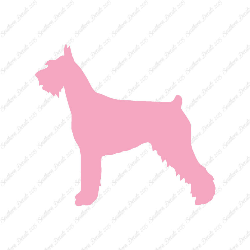 German Schnauzer Dog Breed