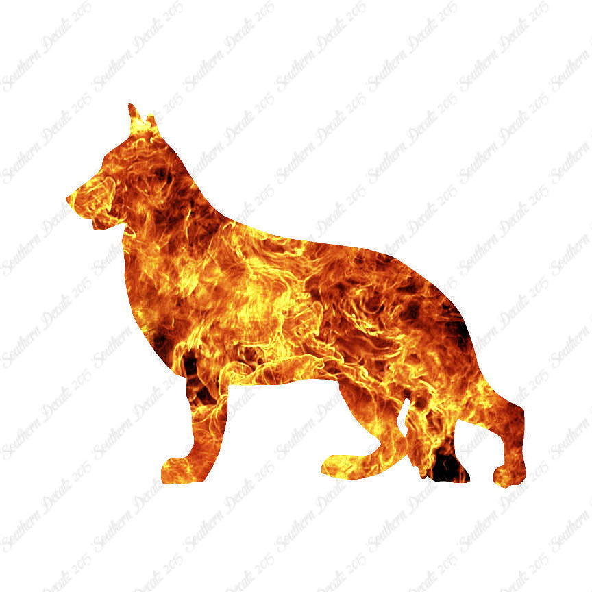 German Shepherd Dog Breed