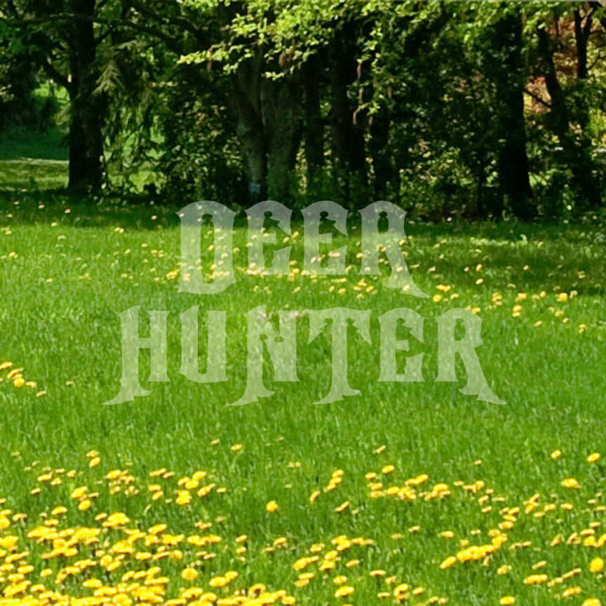 Deer Hunter Hunting