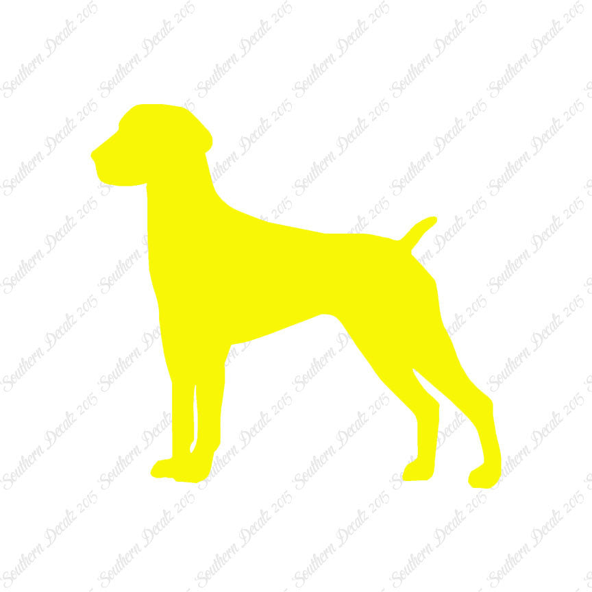 German Shorthaired Pointer Dog Breed