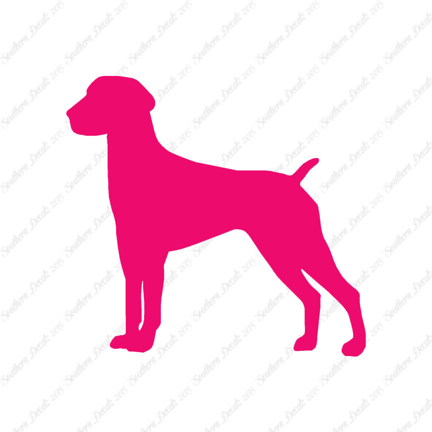 German Shorthaired Pointer Dog Breed