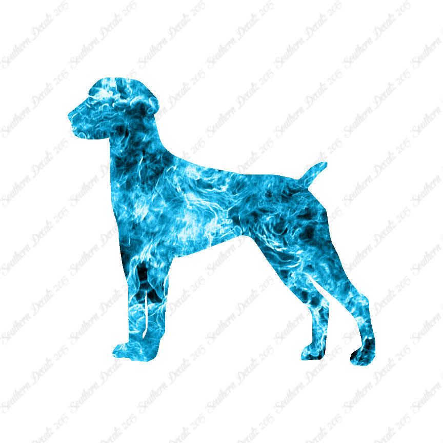 German Shorthaired Pointer Dog Breed