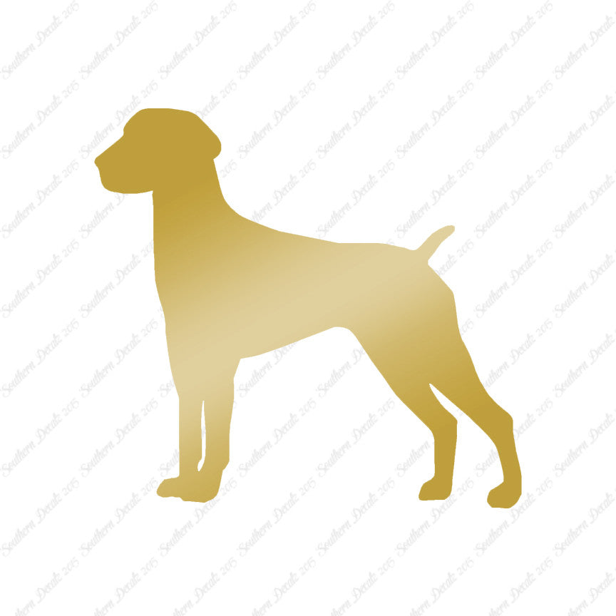 German Shorthaired Pointer Dog Breed