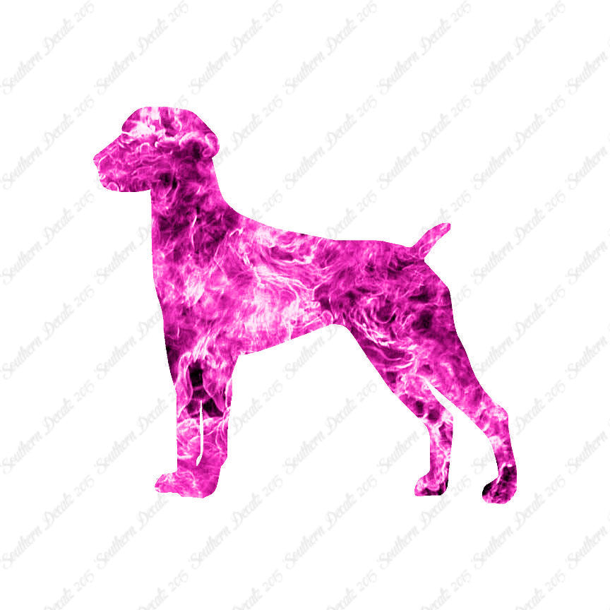 German Shorthaired Pointer Dog Breed