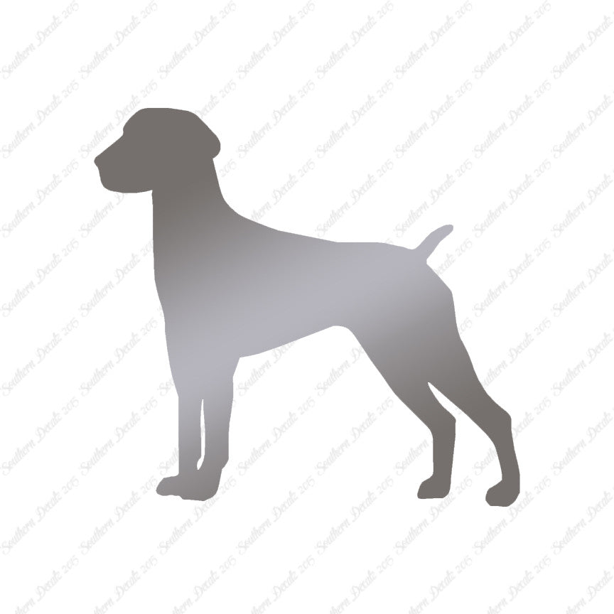 German Shorthaired Pointer Dog Breed
